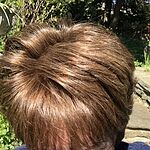 Image of Review by Linda H. on 5 May 2020 number 1