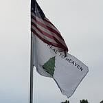Image of Review by Robert M. on 11 Jun 2020 number 1