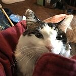 Image of Review by Constance S. on 15 Jun 2020 number 1