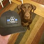 Image of Review by Jared W. on 15 Jun 2020 number 1