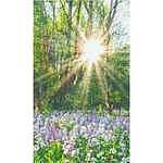 Image of Review by Melissa R. on 15 Jun 2020 number 1