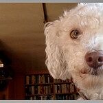 Image of Review by Michelle O. on 17 Jun 2020 number 1
