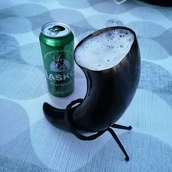 Drinking Horn Set Epic!