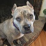 Image of Review by Deneen O. on 20 Jun 2020 number 1