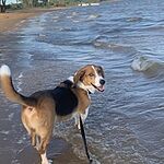 Image of Review by Sabrina D. on 26 Jun 2020 number 1