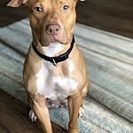 Image of Review by Teirrah S. on 26 Jun 2020 number 1
