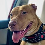 Image of Review by Teirrah S. on 26 Jun 2020 number 2