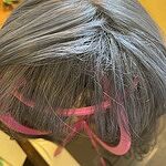 Image of Review by Shyla T. on 8 Jul 2020 number 1