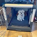 Image of Review by Julie K. on 11 Jul 2020 number 1