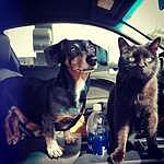 Image of Review by Jennifer B. on 14 Jul 2020 number 1
