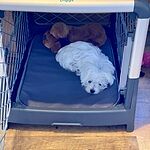 Image of Review by Julie K. on 16 Jul 2020 number 1