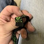Image of Review by Clinton J. on 20 Jul 2020 number 1