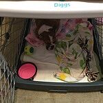Image of Review by Teresa N. on 22 Jul 2020 number 1