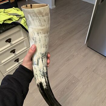 Drinking Horn, XL Horn 100% worth it!