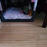 Image of Review by Anthony C. on 23 Jul 2020 number 1