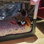 Image of Review by Anthony C. on 23 Jul 2020 number 2