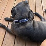Image of Review by Crystal H. on 25 Jul 2020 number 1