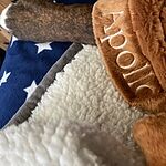 Image of Review by Megan B. on 27 Jul 2020 number 1
