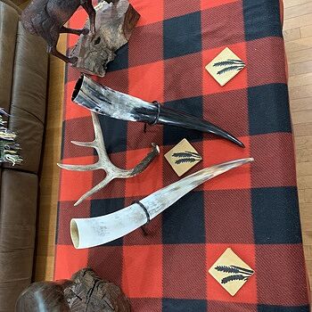 Drinking Horn, XL Amazing!