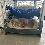 Image of Review by Paige T. on 31 Jul 2020 number 1