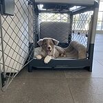 Image of Review by Paige T. on 31 Jul 2020 number 3