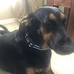 Image of Review by Elena W. on 5 Aug 2020 number 2