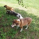 Image of Review by Donna D. on 5 Aug 2020 number 1