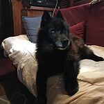 Image of Review by Karen L. on 12 Aug 2020 number 1