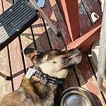 Image of Review by Curtis H. on 16 Aug 2020 number 1