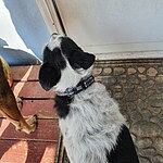 Image of Review by Curtis H. on 16 Aug 2020 number 2