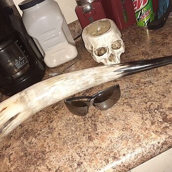Drinking Horn, XL Beautiful piece, high quality, very