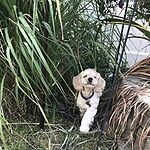 Image of Review by Michelle D. on 1 Sep 2020 number 2