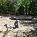 Image of Review by Amy G. on 3 Sep 2020 number 5