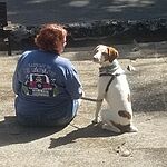 Image of Review by Amy G. on 3 Sep 2020 number 6