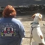 Image of Review by Amy G. on 3 Sep 2020 number 9