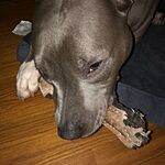 Image of Review by Eavon M. on 5 Apr 2020 number 1
