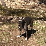 Image of Review by Eavon M. on 5 Apr 2020 number 2