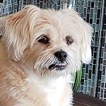 Image of Review by Janet B. on 17 Feb 2020 number 3