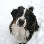 Image of Review by Eliza K. on 19 Dec 2019 number 1