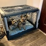Image of Review by Terrell C. on 3 Sep 2020 number 3