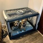 Image of Review by Terrell C. on 3 Sep 2020 number 4