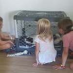 Image of Review by Cari B. on 3 Sep 2020 number 1