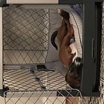 Image of Review by Peta B. on 5 Sep 2020 number 1