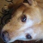 Image of Review by Janice M. on 8 Sep 2020 number 1