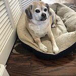 Image of Review by Amber J. on 15 Sep 2020 number 1