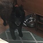 Image of Review by Karen L. on 16 Sep 2020 number 1