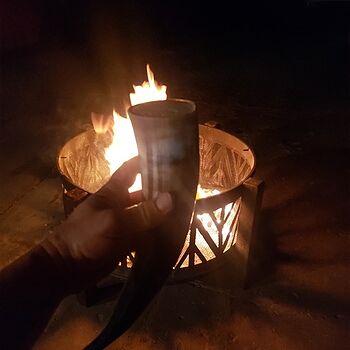 Drinking Horn Set Best thing ever!