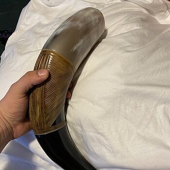 Carved Drinking Horn, XL Bigger than expected and quality
