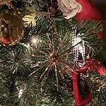 Image of Review by Grisel L. on 26 Dec 2020 number 1