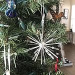 Image of Review by Azmom on 6 Dec 2020 number 1